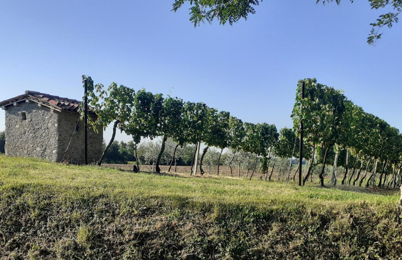Vicolo Del Nido B&B Paderno Franciacorta Exterior foto